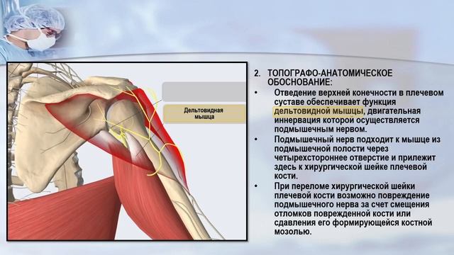ситуационная задача - верхняя конечность (надплечье, дельтовидная область) смотреть онлайн