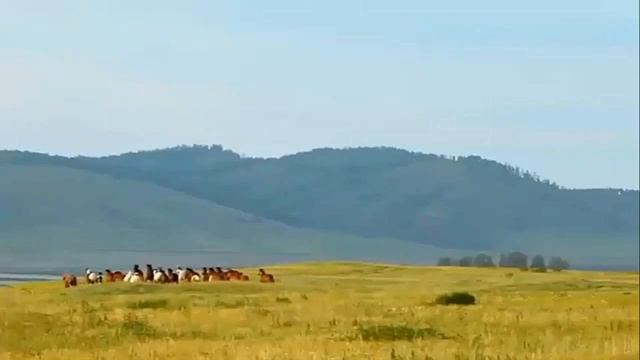 Art intel - Конюшки мои! КРАСИВАЯ И ОЧЕНЬ ТРОГАТЕЛЬНАЯ ПЕСНЯ О ЖИЗНИ. ПОСЛУШАЙТЕ, БЛИЗКО КАЖДОМУ! смотреть онлайн