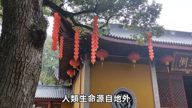 《五公經》預言東方聖人出山：草田里走出神秘人物，他將帶領台灣實現逆襲，中國大變局就在2024！#聖人出山#預言#修禪悟道 смотреть онлайн