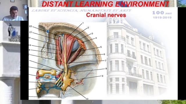 Lecture 3 Innervation of Head and Neck смотреть онлайн