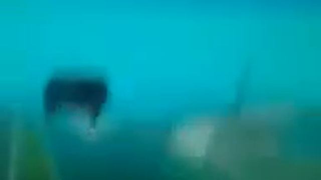 Анонимус флексит под кадиллак смотреть онлайн