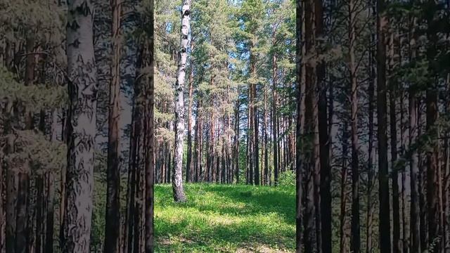 чистый@воздух смотреть онлайн