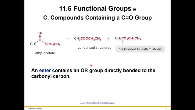 Functional Groups смотреть онлайн