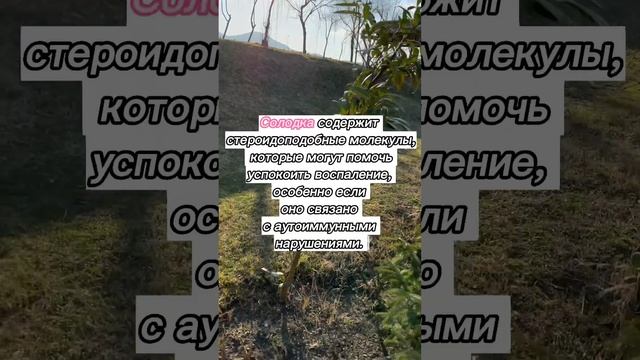 Анализы, которые демонстрируют воспаление 🔅церулоплазмин🔅С-реактивный белок🔅 фибриноген🔅ферритин смотреть онлайн