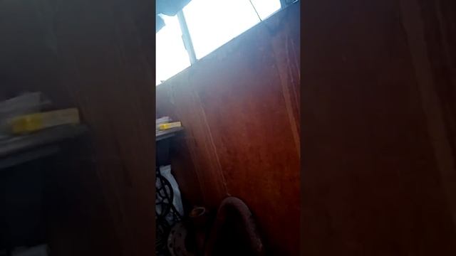 Играю с Брок-током и с Руслана и с Катей в прятки смотреть онлайн
