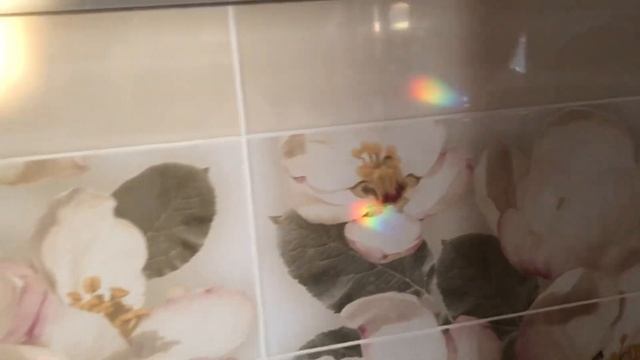 Лучик света заглянул в окно... стало на душе светло 🌈 смотреть онлайн