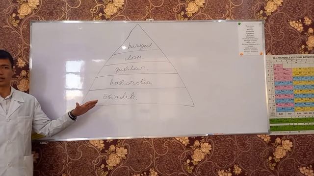Ekologik Piramida, Oziq Zanjiri, O'n Foiz Qoidasi Bepul Dars. Asilbek Ruiddinov