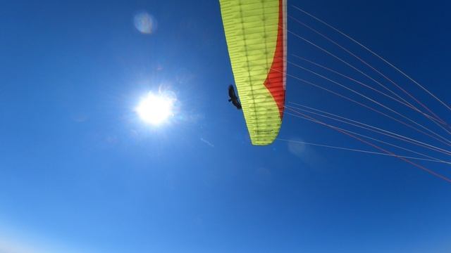 Орёл и параплан.