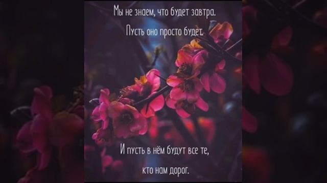 красивый нашид смотреть онлайн