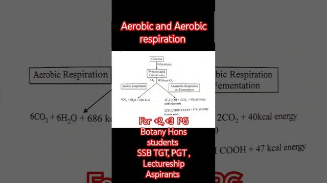 #cbse12thbiology #neet #biology #class12thbiolgy #neet2024 #class #botanypcs #botany #12thbio #upsc смотреть онлайн