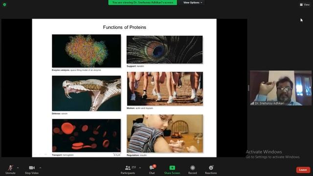 Biochemestry Introducation 20210608 150919 смотреть онлайн