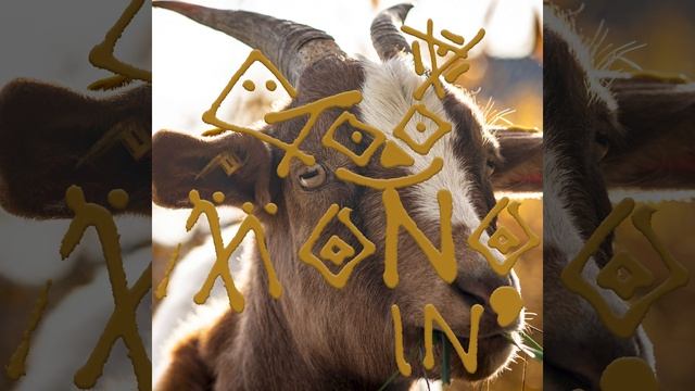 [GOODMONOING] 김모노 (Kim MONO) - 히키의 산책 (feat. 태리) prod by. Uncommon смотреть онлайн