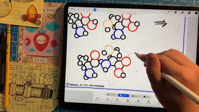 Study with Me (with music): Working on Amino Acids and Peptide Bonds смотреть онлайн