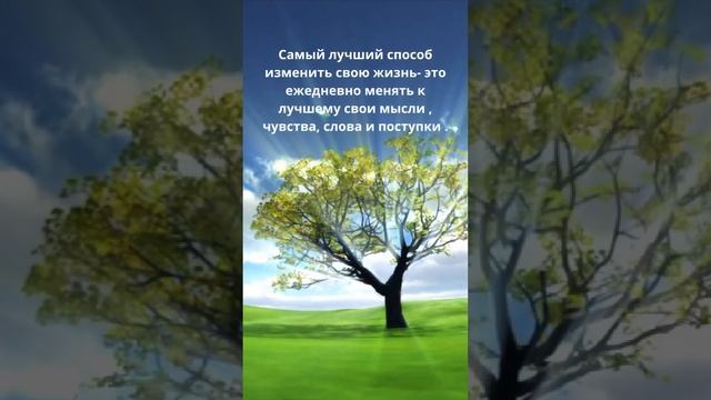27 июня 2023 г. смотреть онлайн