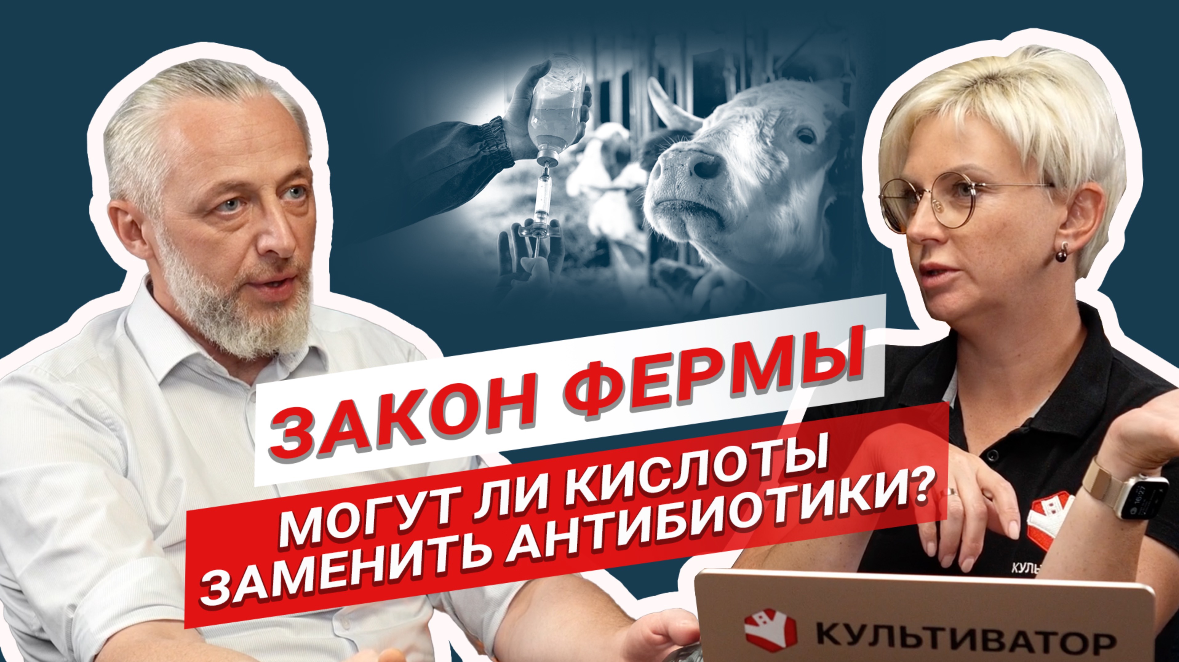 Органические кислоты в животноводстве | Птицеводство | Свиноводство | КРС | Закон фермы смотреть онлайн