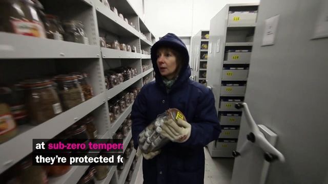 Kew’s Millennium Seed Bank at Wakehurst смотреть онлайн