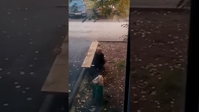 Ели вылез из под лавки смотреть онлайн