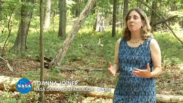 Satellites Capture Photosynthesis In Action | Video смотреть онлайн
