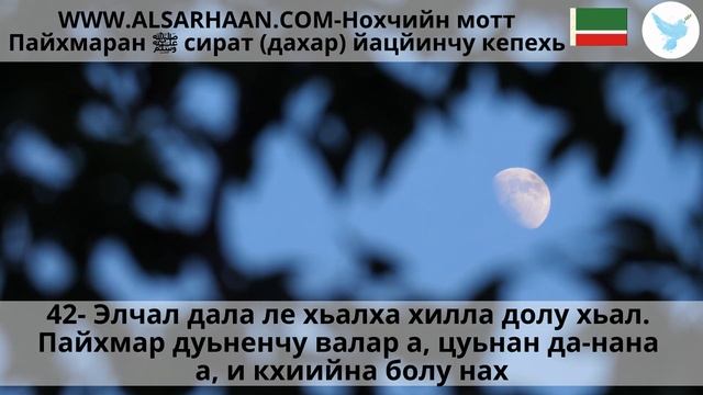 42 Элчал дала ле хьалха хилла долу хьал Пайхмар дуьненчу валар а, цуьнан да нана а, и кхиийна бол смотреть онлайн