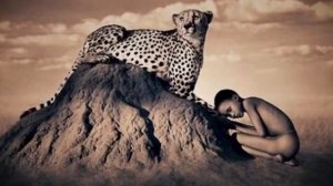 Гимн экологов