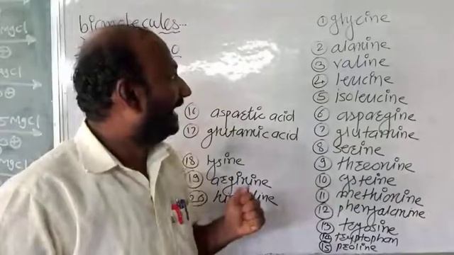 Biomolecules-24/least of 20 alpha amino acids by shadakshari sir смотреть онлайн