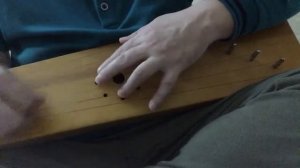 «Вечная весна» на гуслях