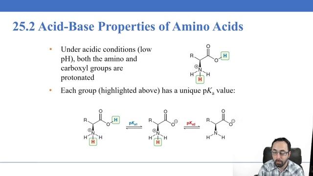 Lecture 13.1 Amino Acid Structure and Properties смотреть онлайн