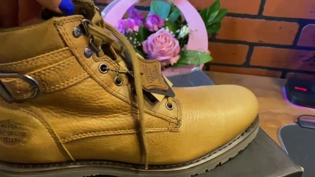 Harley-Davidson Danby, USA BRANDS смотреть онлайн