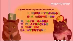 котинет вырезыный фрагмент 2017.07.04 котики-мур-котики