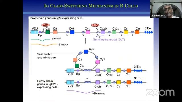 Adaptive Immunity смотреть онлайн
