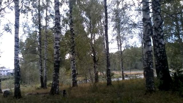 ЖЕСТЬ.Взрыв бомбочки. смотреть онлайн