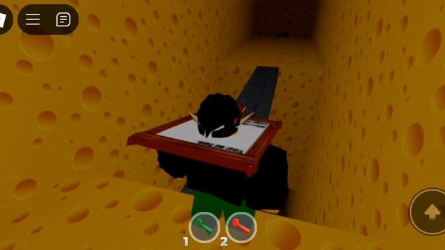 Прошол чиис обби в роблокс