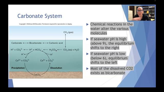pH of the Oceans, Anthropogenic CO2 смотреть онлайн