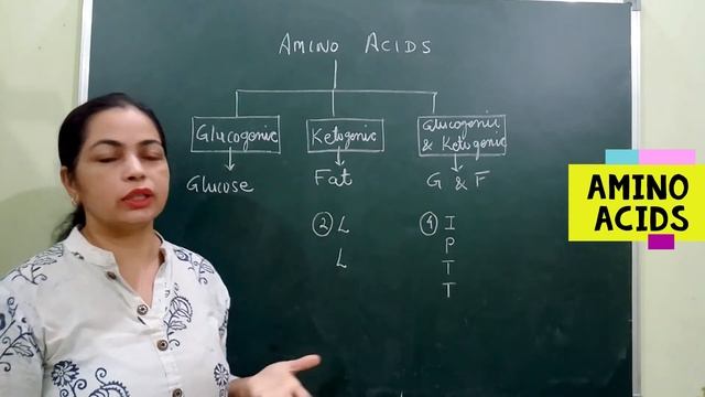 Amino acids # Classification # Glucogenic # Ketogenic # Biochemistry смотреть онлайн