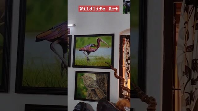 wildlife art and education... #wildlife #art #nature #pondicherry #photography смотреть онлайн