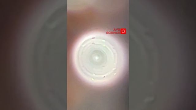 Can We See an Atom⚛️? смотреть онлайн