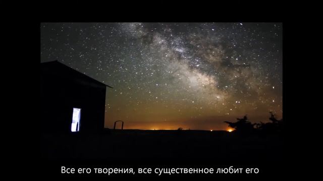 Нашид Тоска смотреть онлайн