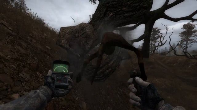 STALKER CoP Crazy DOG смотреть онлайн