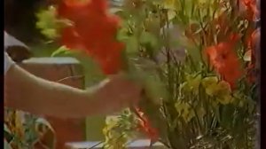 Кипелов - Реклама "Mentos" (1997)