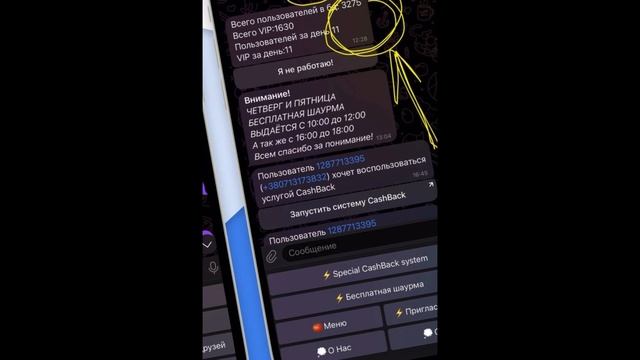 Инста-квест . Для чего и как работает .