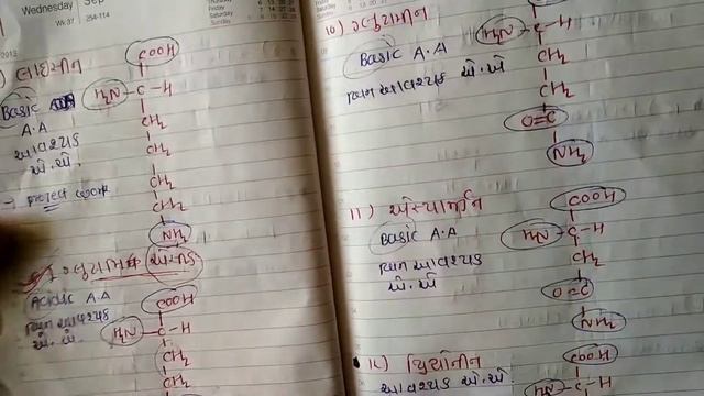 amino acids || Chemistry 12th science ch 14 L-1 || Chemistry in Gujarati смотреть онлайн