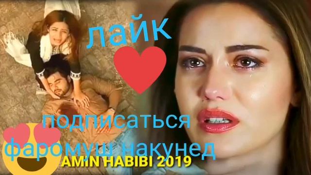 Амин Хабиби смотреть онлайн