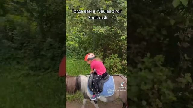 Люблю тренировки с лошадками ❤️ #обучение #французский смотреть онлайн