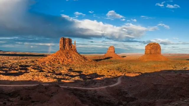 Homiladorlikning Yettinchi Haftasi. Homiladorlikning 7- Haftasi.  7 Haftalik Homila.