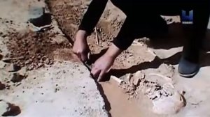 История Китая 1 я серия