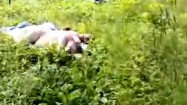 Лесная фея и Леший смотреть онлайн