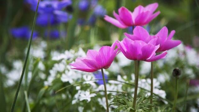 Hовое подсознание - Отец Абсолют смотреть онлайн