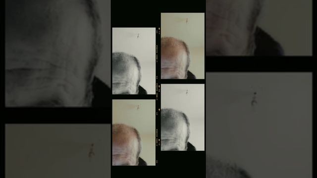 Poemas poesía verso Miguel de Asén(3) смотреть онлайн