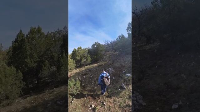 Подъем на вершину Чуваш-Кой #горы #поход #севастополь #hiking #hikingadventures #insta360x3 смотреть онлайн