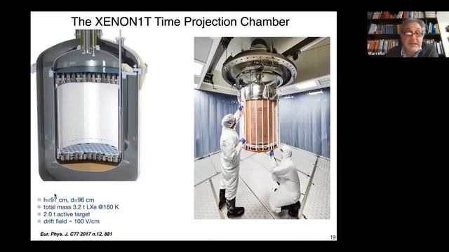 A family of successful detectors: liquid XENON Time Projection Chambers com Marcello Messina смотреть онлайн